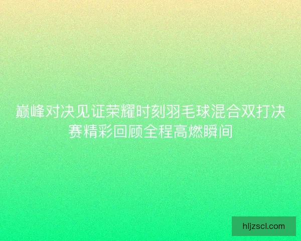 巅峰对决见证荣耀时刻羽毛球混合双打决赛精彩回顾全程高燃瞬间