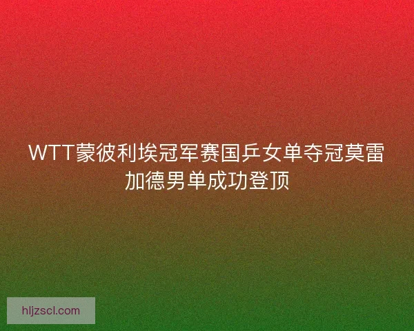 WTT蒙彼利埃冠军赛国乒女单夺冠莫雷加德男单成功登顶